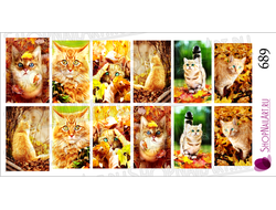 Слайдер-дизайн 689 - Осенние котики