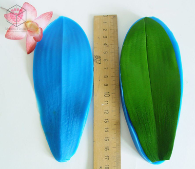 " Лист орхидеи фаленопсис" вайнер и каттер