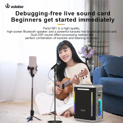 Караоке система с двумя микрофонами Sinoband Party 1981 300W