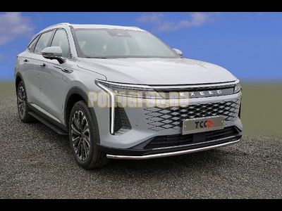 Защита передняя нижняя 42,4 мм ТСС для Exeed RX 2.0L 4WD 2023-