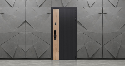 Стальная дверь   Конструктор с зеркалом (биометрический замок Smart lock Y12)