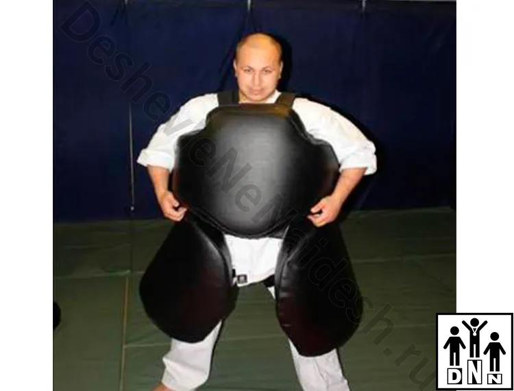 защита корпуса рыцарь