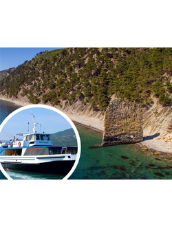 Коралл "Скала Парус"