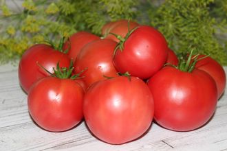 Dwarf Tasty Wine (Гном Вкусное Вино), Австралия, США