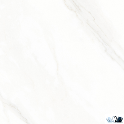 хКерамогранит Ocean Ceramic Calacatta michael 60 x 60 см лаппатированный