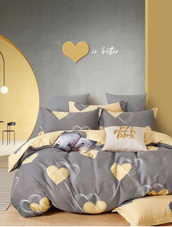 Постельное белье TANGO Twill сатин двуспальное 180x210x1 220x245x1 70x70x2 TPIG2-1534-70