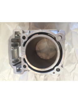 Цилиндр оригинальный 420613586/6420613581/420613587/420613582/420613583/420413431 для BRP Can-Am/LYNX/Ski-Doo