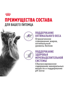 Royal Canin (Роял Канин) Sterilised Влажный корм (пауч) для стерилизованных кошек, кусочки в желе, 85 г