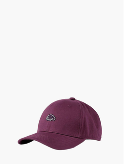 Кепка Anteater Baseball Фиолетовая в магазине Bagcom