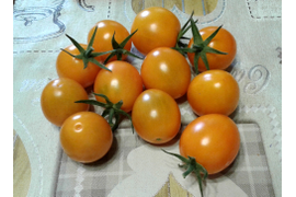 Бал цветов желтый