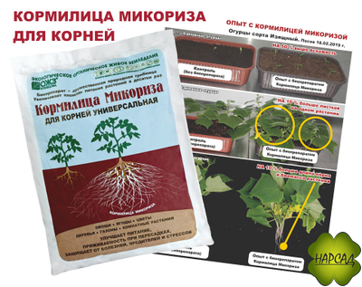 МИКОРИЗА (БИОСТИМУЛЯТОР РОСТА КОРНЕЙ) 30 г