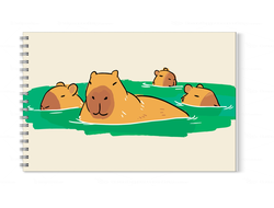 Альбом для рисования Капибара, Kapibara-san №16