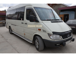 Пороги с накладным листом	d53  Mercedes-Benz Sprinter (2001-2006)