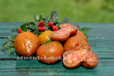 Томат Сердце Марши (Marsha's Starfighter Heart), 10 шт