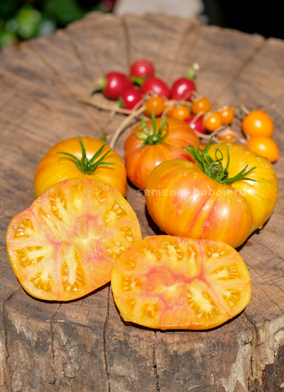 Томат За Рулём (Behind the Wheel), 10 шт