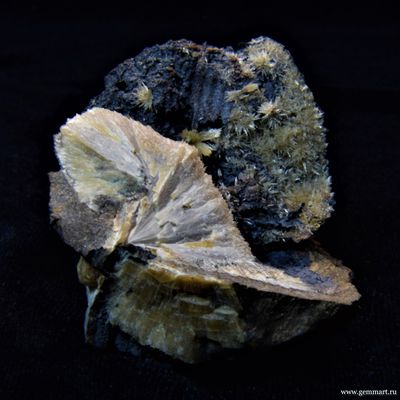 Барит на псиломелане в полости ракушки. 50*50*42мм