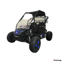 Багги SCANMOTO RAPID II