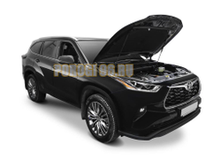 Амортизаторы капота АвтоУПОР (2 шт.) Toyota Highlander 2020-