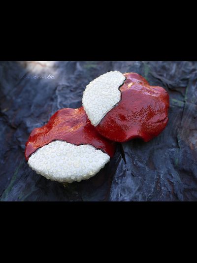 Комплект фэнтези-украшений "Яблочко Белоснежки" (парадное колье и крупные серьги)