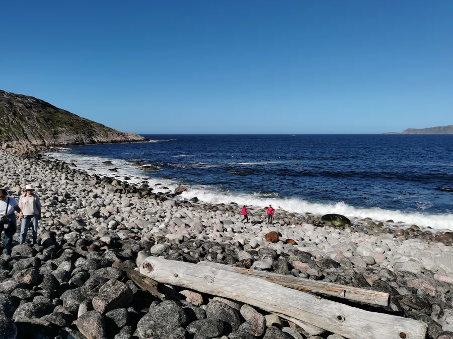 яйца драконов. Териберка