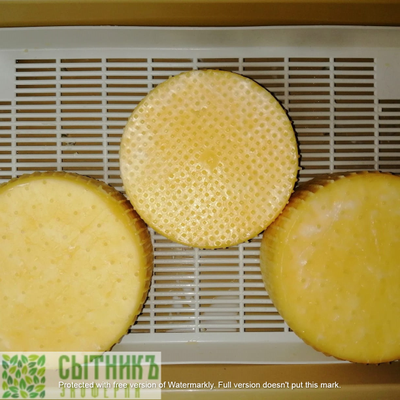 Домашний сыр из цельного молока качотта с доставкой на дом