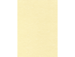 Дизайн-бумага DECAdry Пергамент шампань, А4, 25л, SCL2058