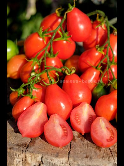 Томат Матрешка, 10 шт