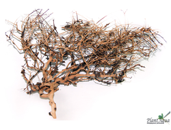 Коряга "Паутина Шарлотты" XL 40-50 см