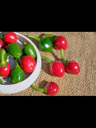 Перец острый Jalapeno Bomb F5, 10 шт