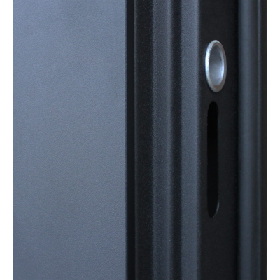 Стальная дверь   Фрегат с зеркалом