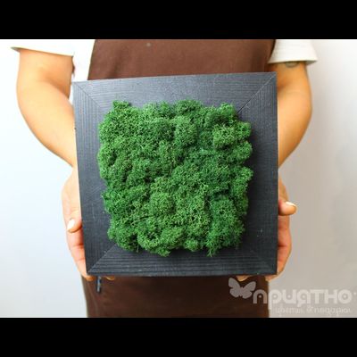 ЖИВАЯ ЭКО-КАРТИНА 1066