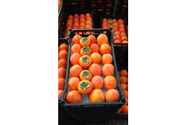 Продукты народного потребления: