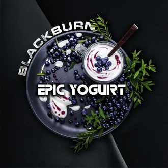 BLACK BURN 25 г. - EPIC YOGURT (ЧЕРНИЧНЫЙ ЙОГУРТ)