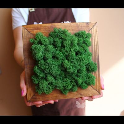 Живая Эко-Картина 1069