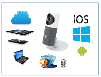 Видеоняня /WiFi видеокамера CleverDog с DVR