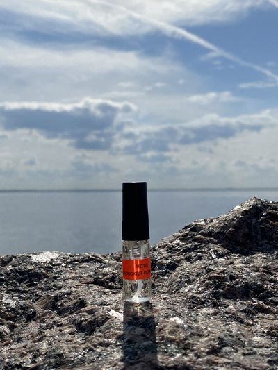 Духи НОТА: МУЖСКАЯ ПРИРОДА 3,5 мл