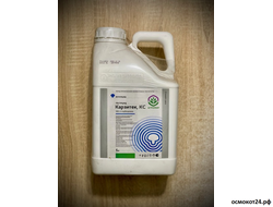 Карзитек, КС (от 50мл до 5л)