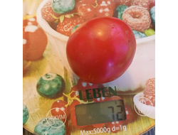 Томат Женечка