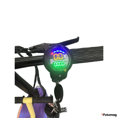 Электроскутер Skyboard Piter 350W