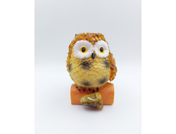 Сова на бревне средняя