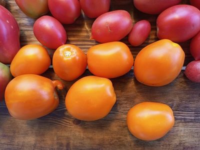 Томат Золото Колчака