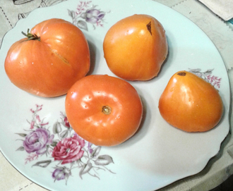 Семена томата Сердце Ашхабада