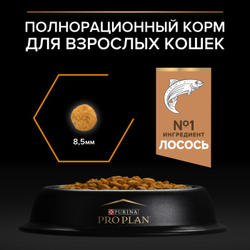 Pro Plan (Про План) Derma Care Сухой корм для здоровья шерсти и кожи взрослых кошек с лососем, 1,5 кг