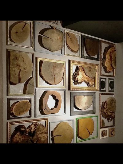 декор стены из спилов галерея