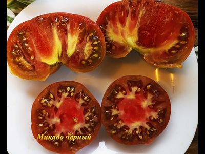 Томат Микадо черный