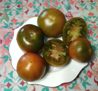 Семена томата Терракотовый Торбена