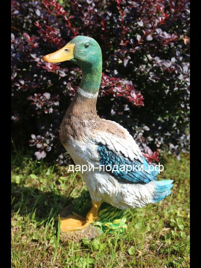 Селезень - красавец 40*28см полистоун Россия 1675/012564*