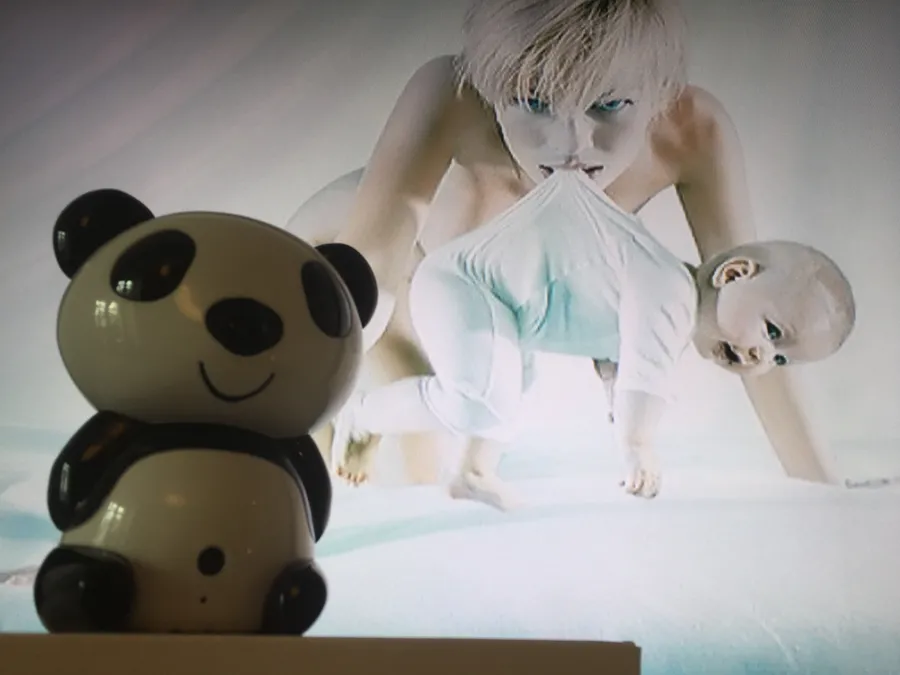 IP видеоняня ПАНДА, WiFi видеокамера ПАНДА, Мишка панда - бесппроводная видеокамера, IP радионяня