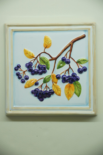 Черноплодная рябина