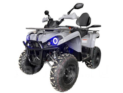 Квадроцикл Iride Rover 200 L